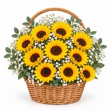 10 Sunflower Basket