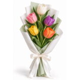 5 Mixed Tulip Bouquet